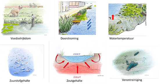 Afbeeldingen van Indicatoren die waterkwaliteit van een stedelijk watersysteem kunnen beïnvloeden.